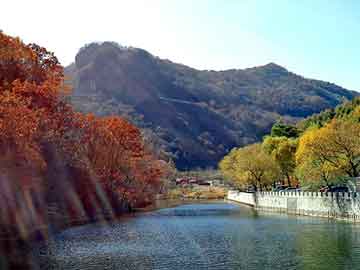 新澳门二四六天天开奖，飞鹤奶粉河南总代理